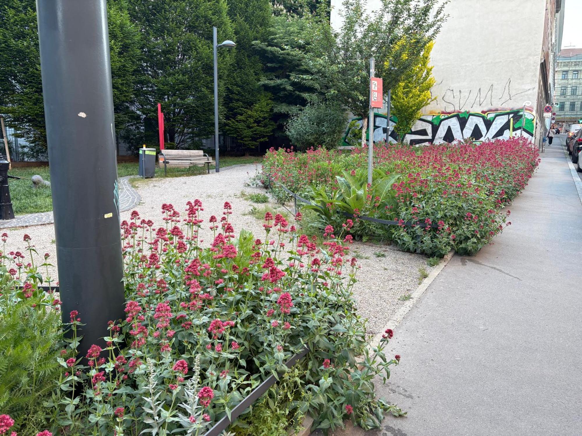 Apartment Geibel T4 - 85M2 - Highspeed Internet - Hundefreundlich Viena Exterior foto
